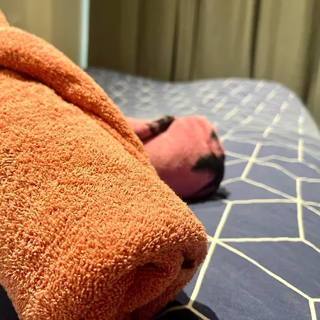 Apartment Super Atypique T1 - 007